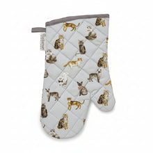 Cooksmart Curious Cats Gauntlet Oven Glove Cooksmart England