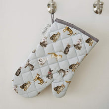 Cooksmart Curious Cats Gauntlet Oven Glove Cooksmart England