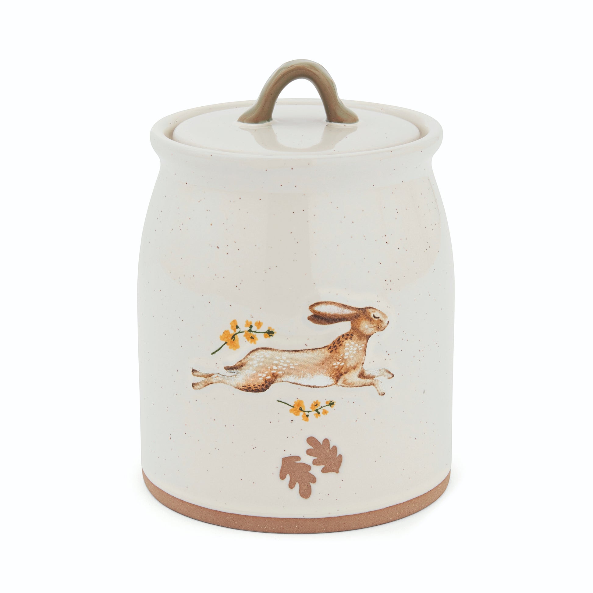 Cartco Cooksmart Forest Fable ceramic canister in cream with a running hare, golden flowers, and sage green loop handle.
