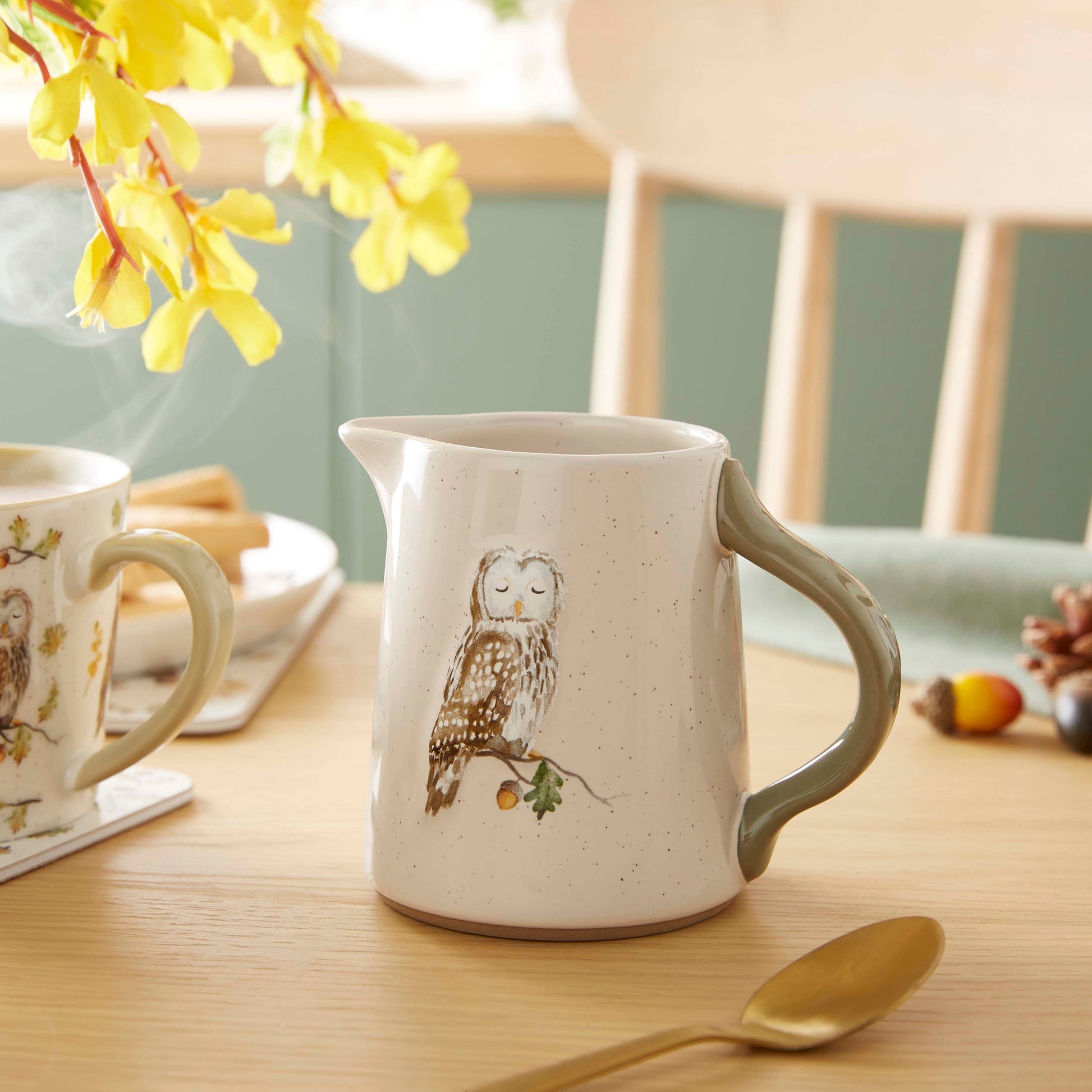 Cartco Cooksmart Forest Fable ceramic jug with owl illustration, speckled cream glaze, and sage green handle on table