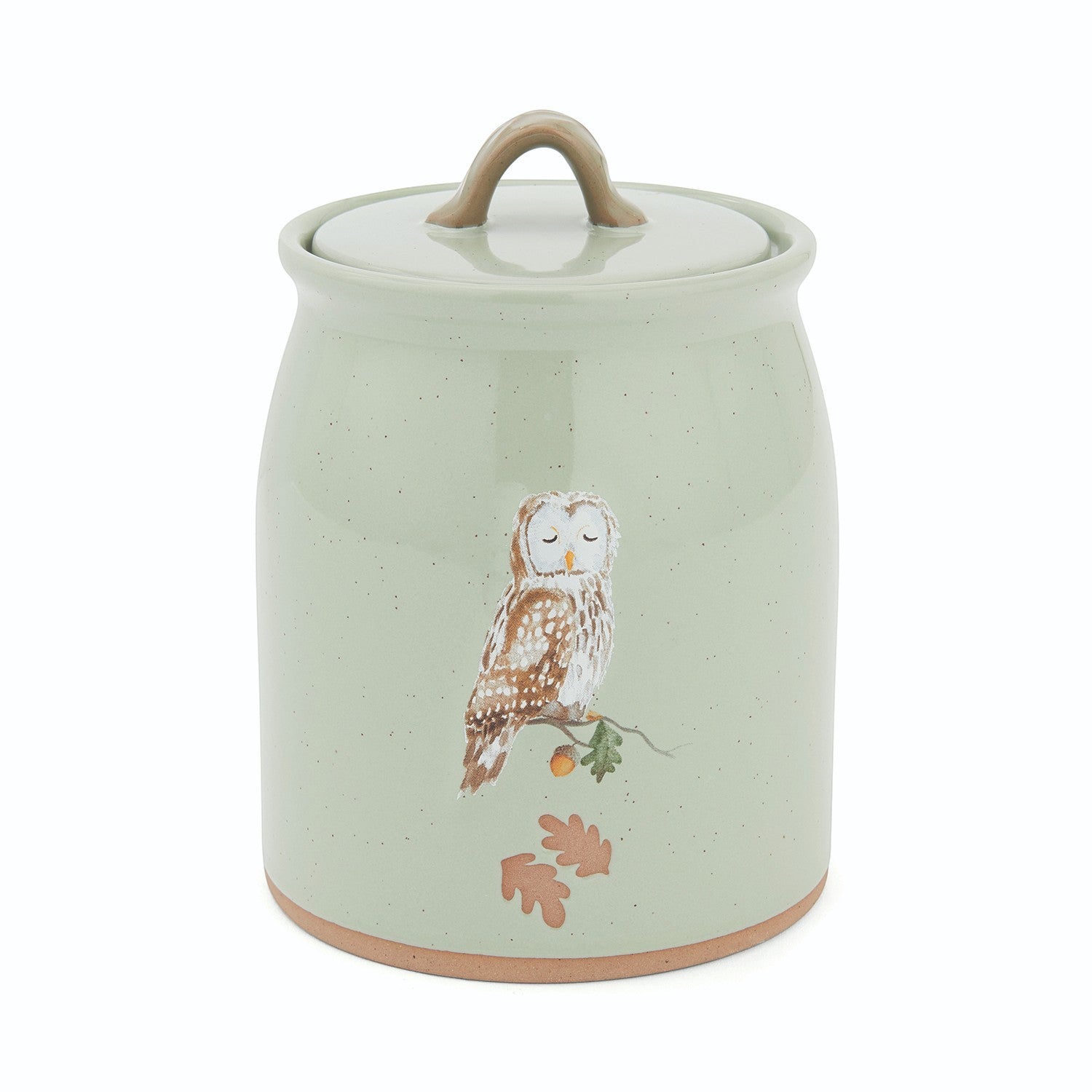 Cartco Cooksmart Forest Fable sage green ceramic canister with owl and oak branch design and loop handle lid