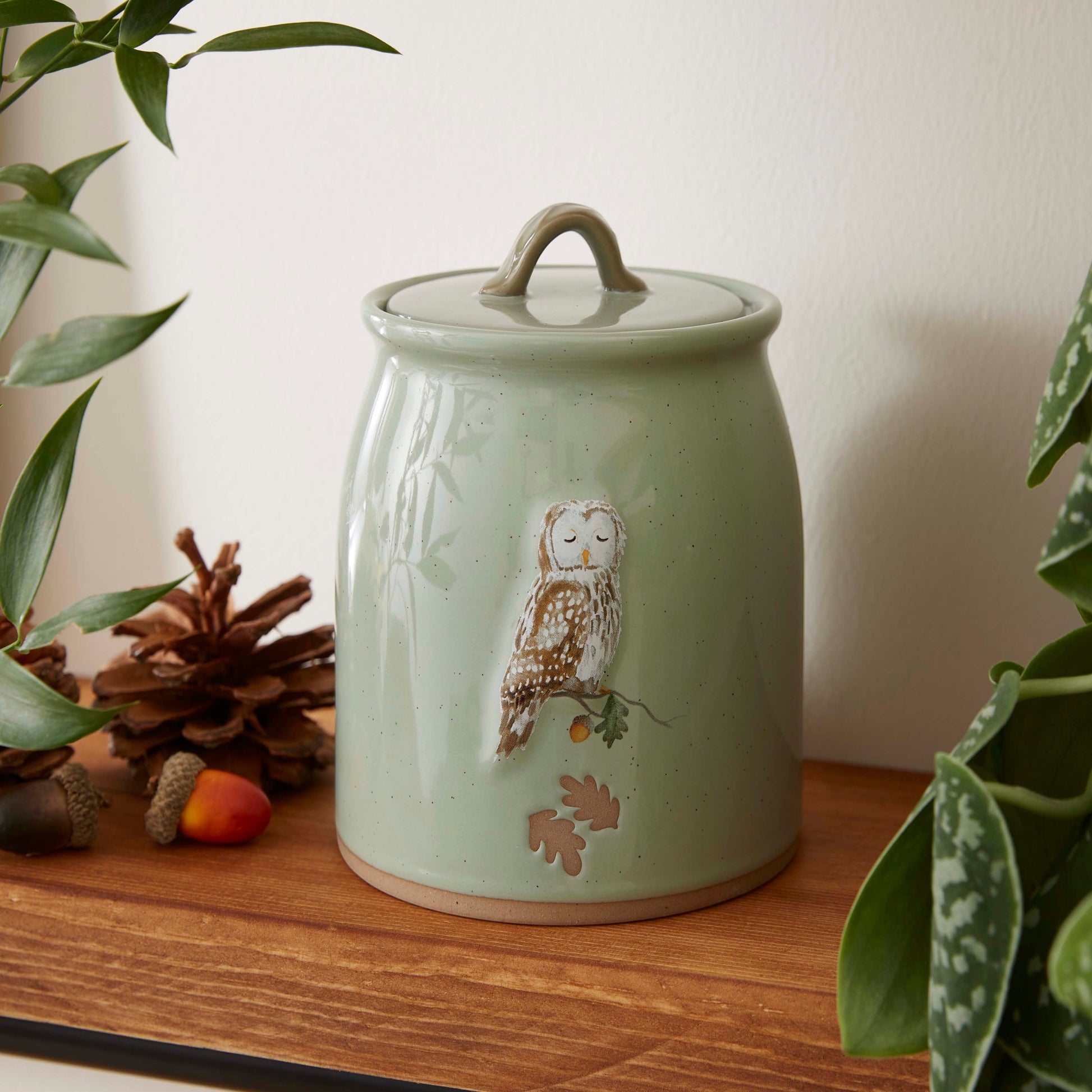 Cartco Cooksmart Forest Fable sage green ceramic canister featuring a peaceful owl illustration and loop handle lid.