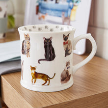 Cooksmart Curious Cats Tankard Mug Cooksmart England