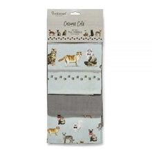 Cooksmart Curious Cats Tea Towels 3pk Cooksmart England