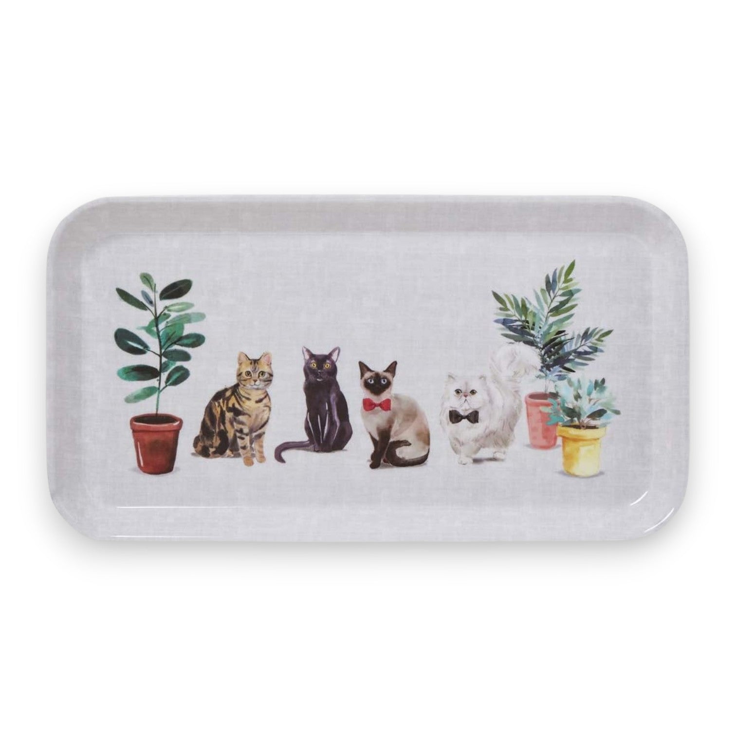 Cooksmart Curious Cats - Small Tray Cooksmart England